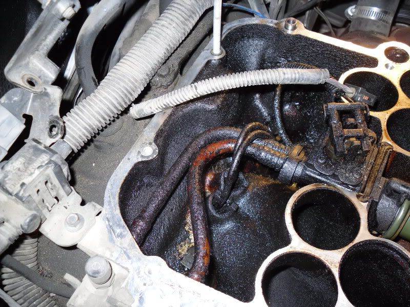 Replacing Intake Manifold Gasket. What else to change? Chevy Astro and GMC Safari Forum